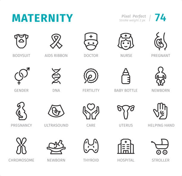 Maternity - Pixel Perfect line icons with captions Maternity - 20 Outline Style - Single line icons with captions / Set #74 / Designed in 48x48pх square, outline stroke 2px.

First row of outline icons contains:
Bodysuit, AIDS Ribbon, Doctor, Nurse, Pregnant;  

Second row contains:
Gender, DNA, Fertility, Baby Bottle, Newborn;

Third row contains:
Pregnancy, Ultrasound, Care, Uterus, Helping Hand;

Fourth row contains:
Chromosome, Newborn, Thyroid, Hospital, Stroller.

Complete Signico collection - https://www.istockphoto.com/collaboration/boards/VT_7sDWo80OLh7foVxchBQ human fertility stock illustrations