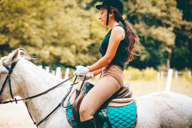 istock Horse and female rider on training 1173137910