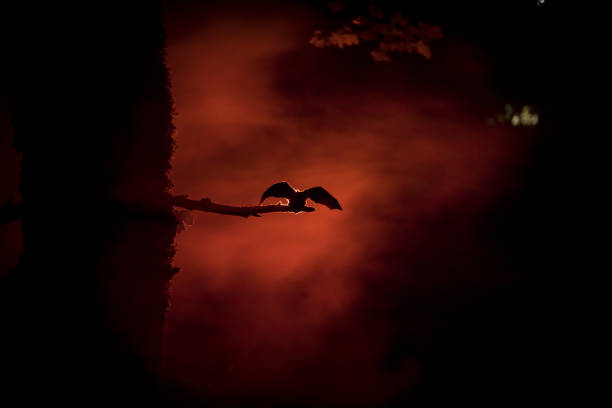istock Horror Halloween concept. The bat is spreading its wings sitting on the tree at misty night. 1173139357