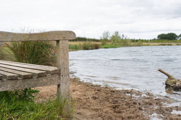 The water has receded from near the bench itself, causing flooding to the surrounding area.
