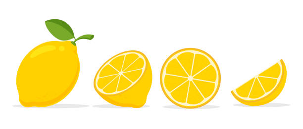 Yellow lemon vector. Lemon is a fruit that is sour and has high vitamin C. Helps to feel fresh. Yellow lemon vector. Lemon is a fruit that is sour and has high vitamin C. Helps to feel fresh. citron stock illustrations