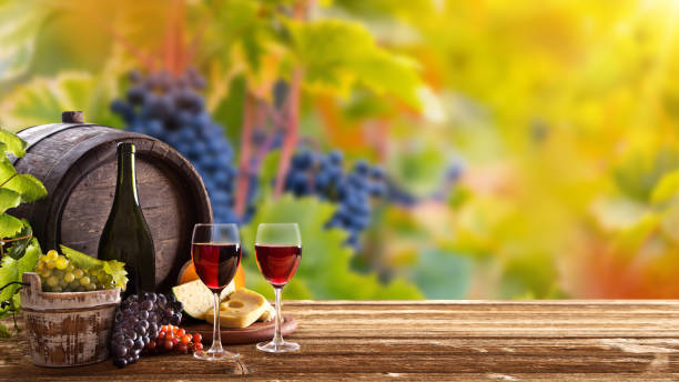 istock Vines with grapes and old cask on vintage wooden table. 1173141357