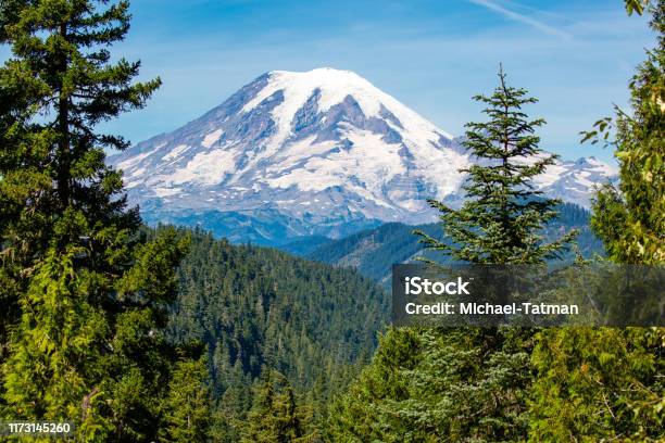 Mount Rainier National Park In The State Of Washington In August Stock Photo - Download Image Now