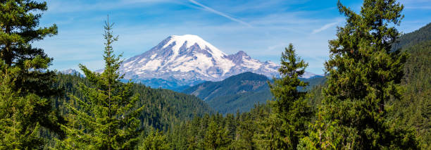 Panoramic image of Mount Rainier National Park in the state of Washington in August Panoramic image of Mount Rainier National Park in the state of Washington in August tacoma photos stock pictures, royalty-free photos & images
