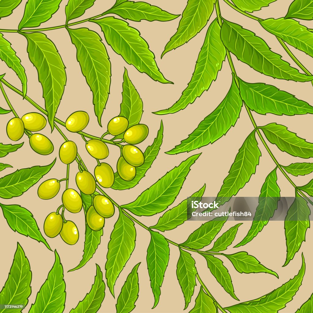 Neem Patterns Neem Vector Pattern Stock Illustration - Download Image Now ...