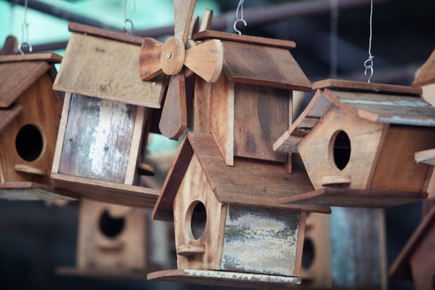 istock creative wooden bird house background 1173146839