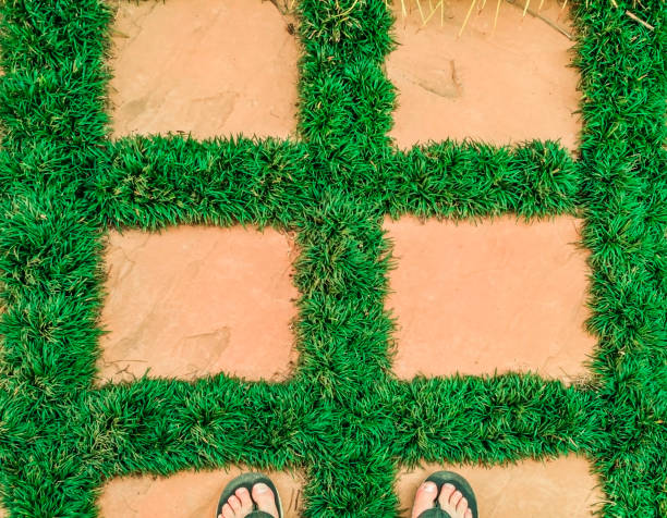 istock Feet entering natural grass bordered stone walkway 1173147754