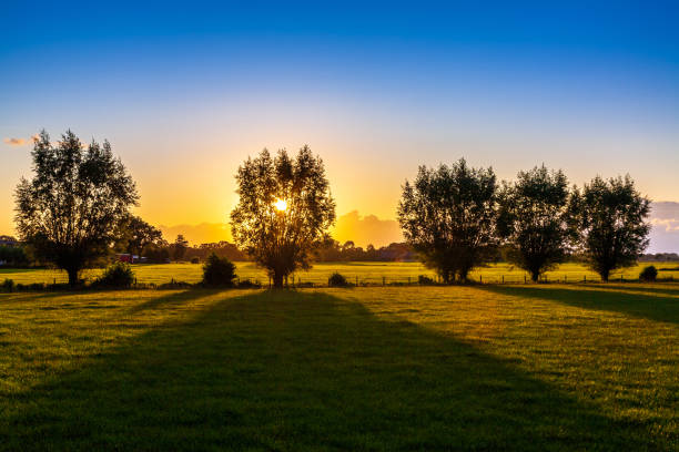Zonsondergang landschap met bomen in Amersfoort, Nederland