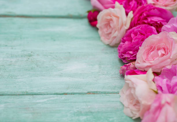 istock beautiful garden roses on turquoise wooden surface 1173148723