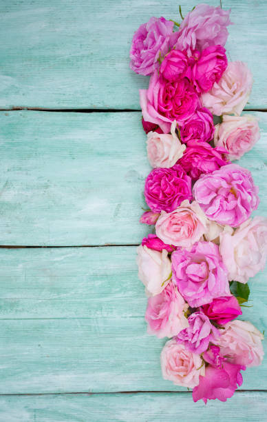 istock beautiful garden roses on turquoise wooden surface 1173149382