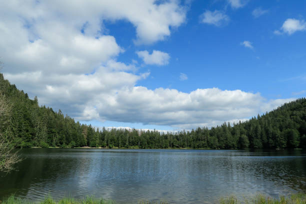 istock Feldsee Lake in the Black Forest 1173151427