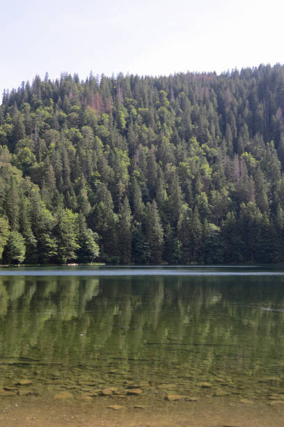 istock Feldsee Lake in the Black Forest 1173151466