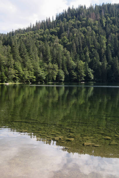 Feldsee Lake in the Black Forest