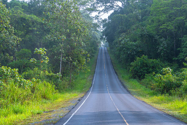 istock curve road in wild forest 1173154494