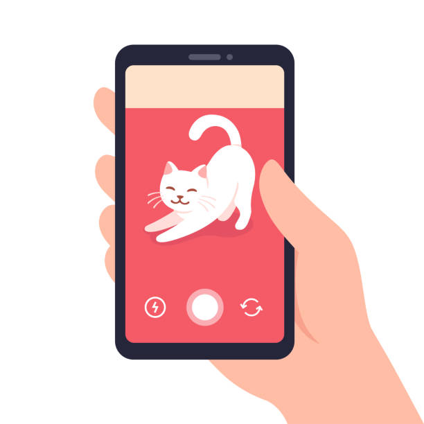 illustrazioni stock, clip art, cartoni animati e icone di tendenza di registrazione di video per gatti su smatrphone - animal cell