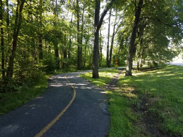 istock asphalt path or trail with shortcut path through the dirt and grass 1173154785