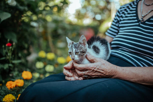 istock Senior woman gardener 1173155595