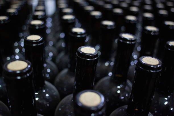 istock Rows of dusty wine bottles 1173155769