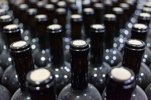 istock Rows of dusty wine bottles 1173155813