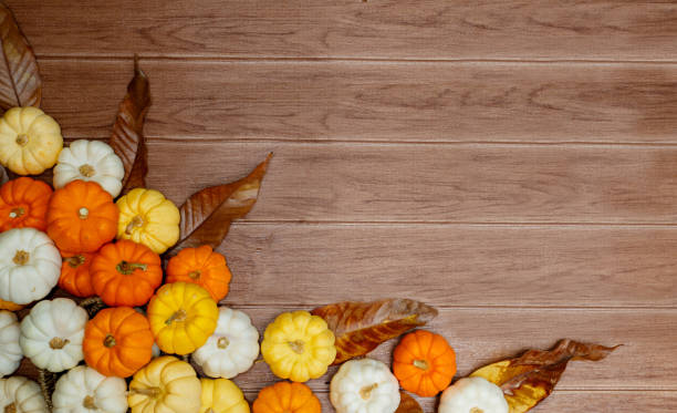 istock Halloween background with pumpkins on wood backdrop. Copy space for text. Festive concept. Thanksgiving concepts. 1173160687