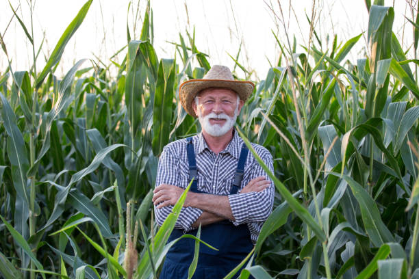 istock Farmer with crossed arms standing in corn field 1173166511
