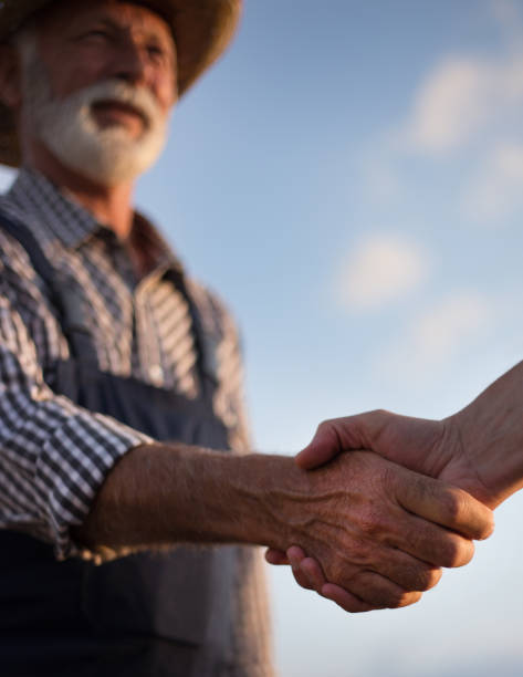 dwóch rolników drżenie rąk w polu - team human hand cheerful close up zdjęcia i obrazy z banku zdjęć