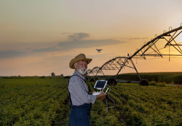istock Farmer driving drone in field with irrigation system 1173166621