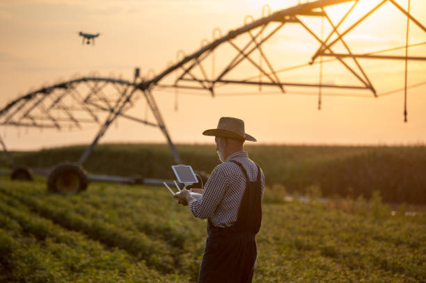 istock Farmer driving drone in field with irrigation system 1173166648