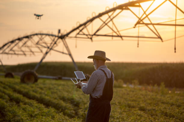 Farmer driving drone in field with irrigation system stock photo