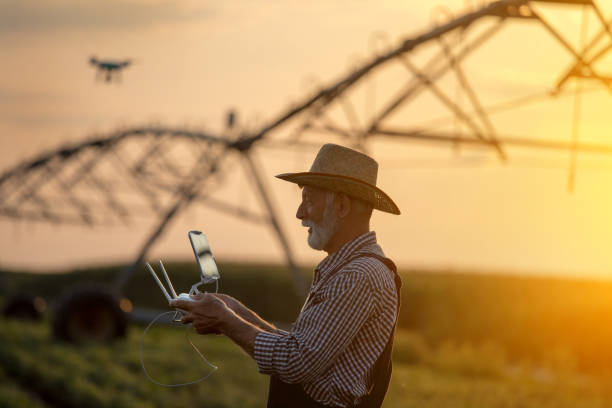 istock Farmer driving drone in field with irrigation system 1173166752