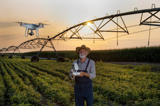 istock Farmer driving drone in field with irrigation system 1173166755