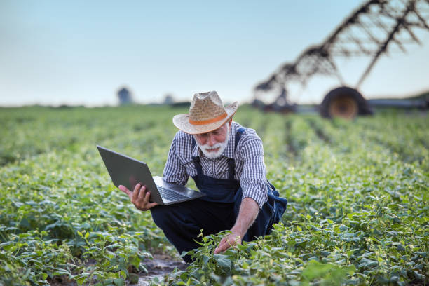 istock Farmer with laptop in field with irrigation system 1173166780