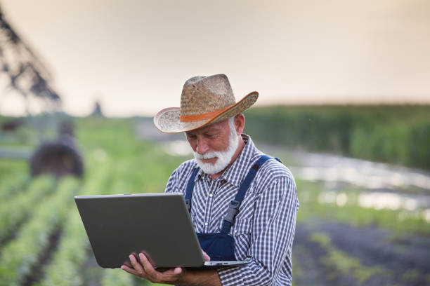 istock Farmer with laptop in field with irrigation system 1173166786