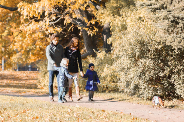 istock Family walk in autumn park 1173168849