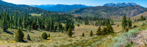 istock Carson Iceberg Wilderness Panorama 1173170869