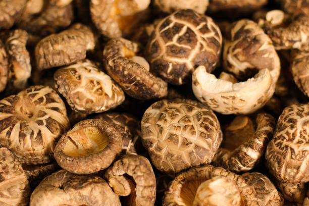грибы шиитаке - shiitake mushroom edible mushroom mushroom dry стоковые фото и изображения