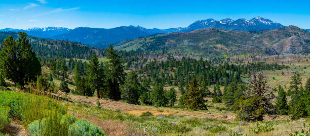 istock Carson Iceberg Wilderness Sierra Panorama 1173172693