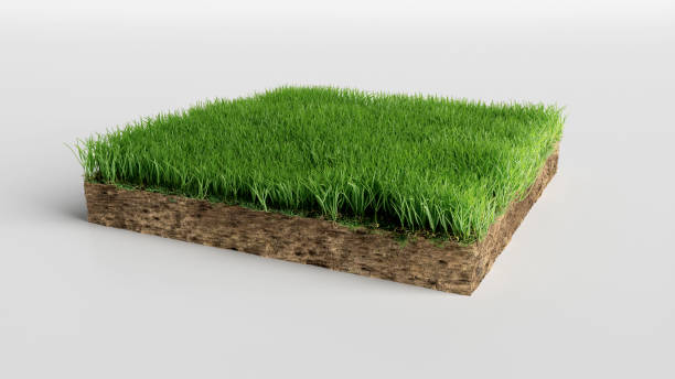 istock realistic 3D rendering cutaway terrain floor, 3D Illustration soil ground cross section with earth land and green grass 1173173755