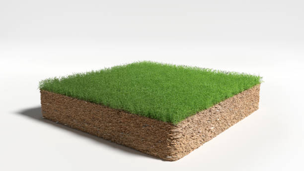 istock 3D Illustration Square of grass field on white background 1173173807