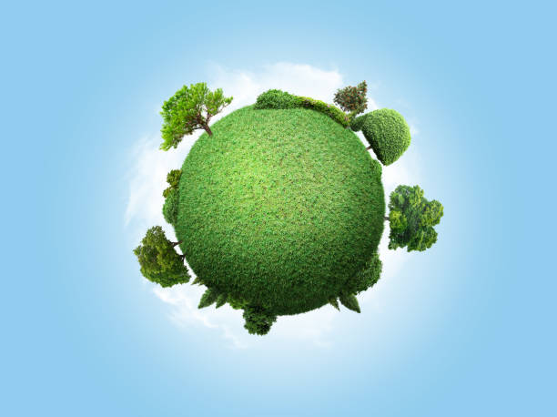 istock concept miniature globe showing the environment with trees and grass on sky background 1173175539