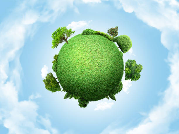 istock concept miniature globe showing the environment with trees and grass on cloudy sky background 1173175541