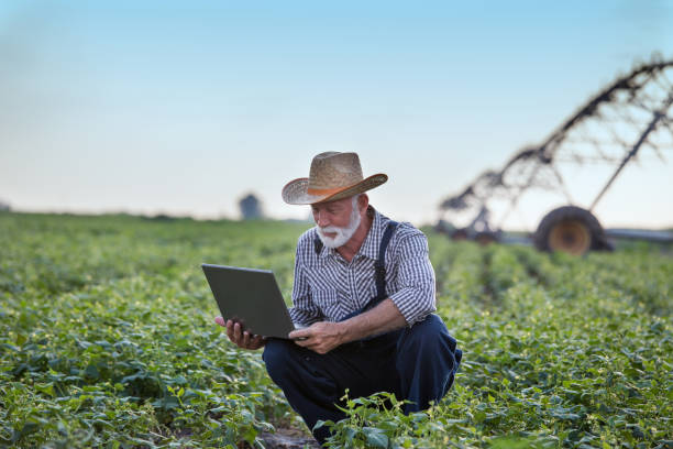 landwirt mit laptop vor bewässerungssystem im feld - farmer rural scene laptop computer stock-fotos und bilder