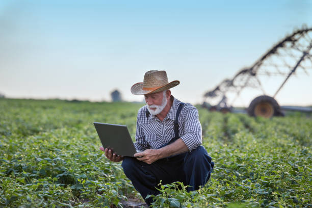 фермер с ноутбуком перед оросительной системой в поле - farmer rural scene laptop computer стоковые фото и изображения