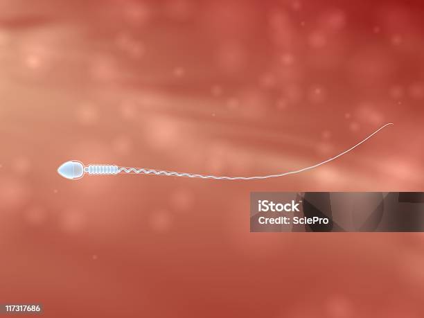 인간 정자 3차원 형태에 대한 스톡 사진 및 기타 이미지 - 3차원 형태, 건강관리와 의술, 건강한 생활방식