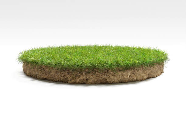 istock realistic 3D rendering circle cutaway terrain floor with rock isolated, 3D Illustration round soil ground cross section with earth land and green grass 1173177070