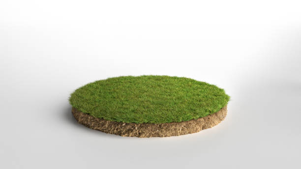 istock realistic 3D rendering circle cutaway terrain floor with rock isolated, 3D Illustration round soil ground cross section with earth land and green grass 1173177078
