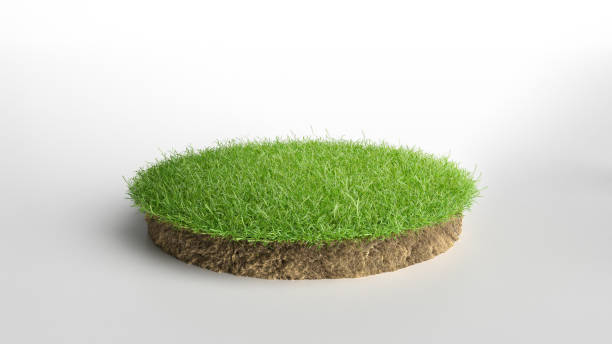 istock realistic 3D rendering circle cutaway terrain floor with rock isolated, 3D Illustration round soil ground cross section with earth land and green grass 1173177080