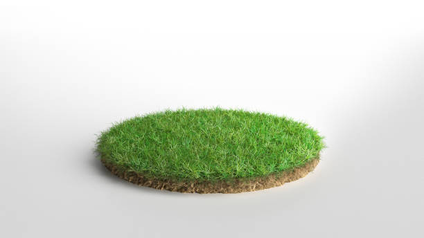 istock Round green grass land piece isolated on white background. 3D illustration 1173177082