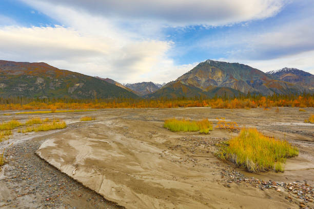 秋のクルアン国立公園、ユーコン、カナダ - alaska landscape scenics wilderness area ストックフォトと画像