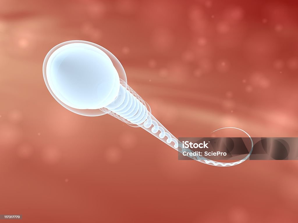 sperm - Стоковые фото Биология роялти-фри